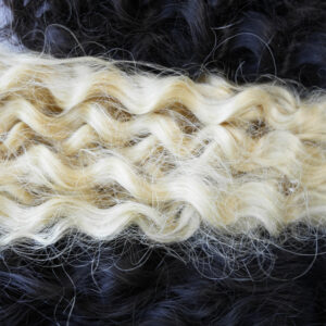 MACHINE WEFT